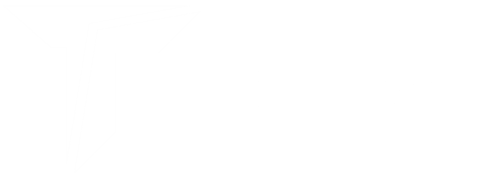 Timssys Logo